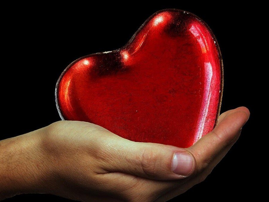 A hand holding a heart